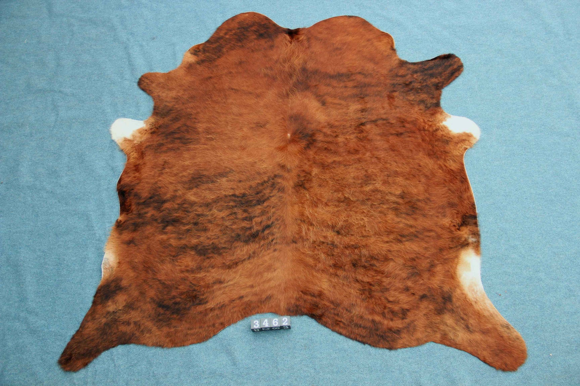 Kuhfell Schwarz Braun Weiß getigert (3462) 3 -4 qm