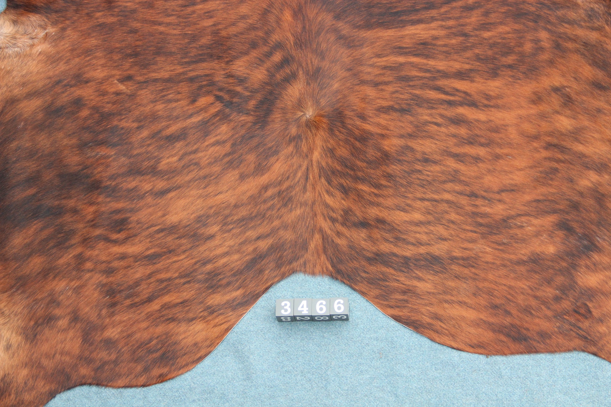 Kuhfell Schwarz Braun Weiß getigert (3466) 3 -4 qm
