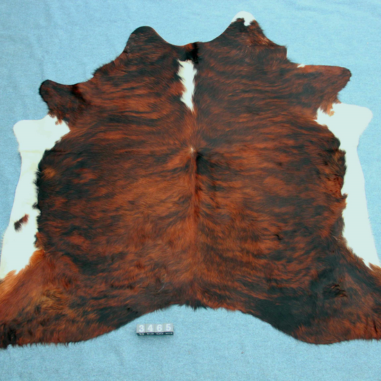 Kuhfell Schwarz Braun Weiß getigert (3465) 3 -4 qm Langhaar