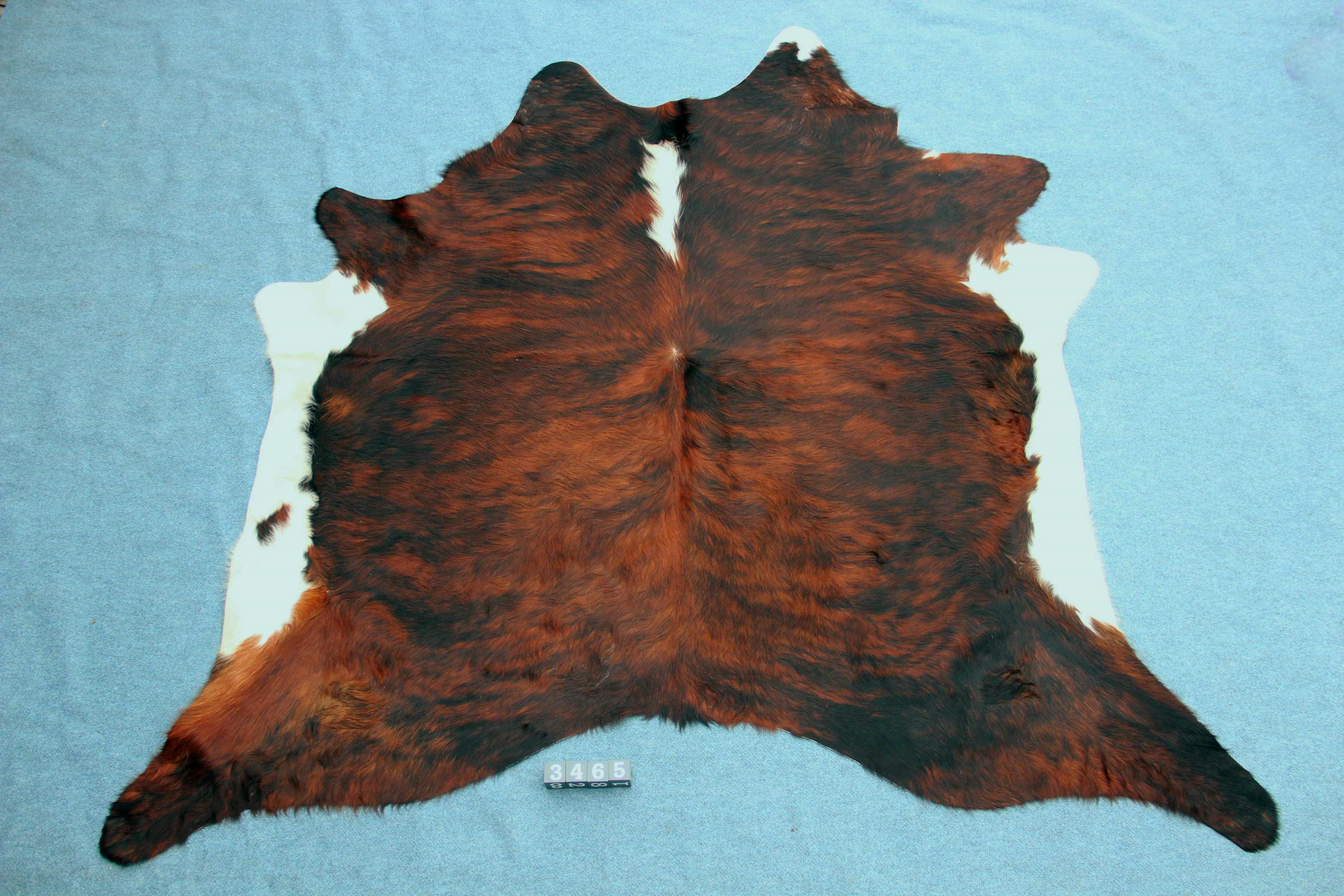 Kuhfell Schwarz Braun Weiß getigert (3465) 3 -4 qm Langhaar