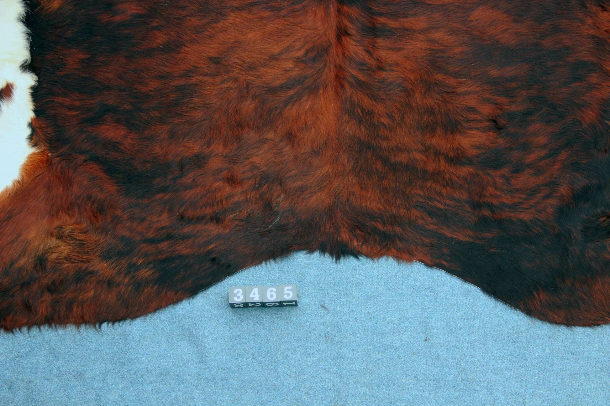Kuhfell Schwarz Braun Weiß getigert (3465) 3 -4 qm Langhaar