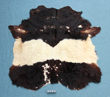 Kuhfell Schwarz Weiß (4167) XXL 4-5qm Langhaar Gelloway 2. Wahl