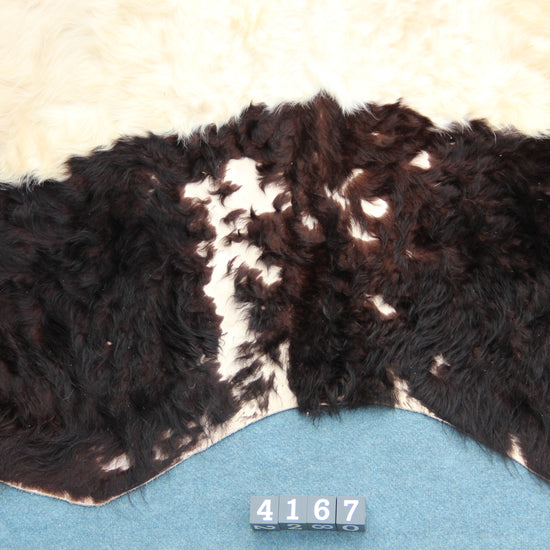 Kuhfell Schwarz Weiß (4167) XXL 4-5qm Langhaar Gelloway 2. Wahl