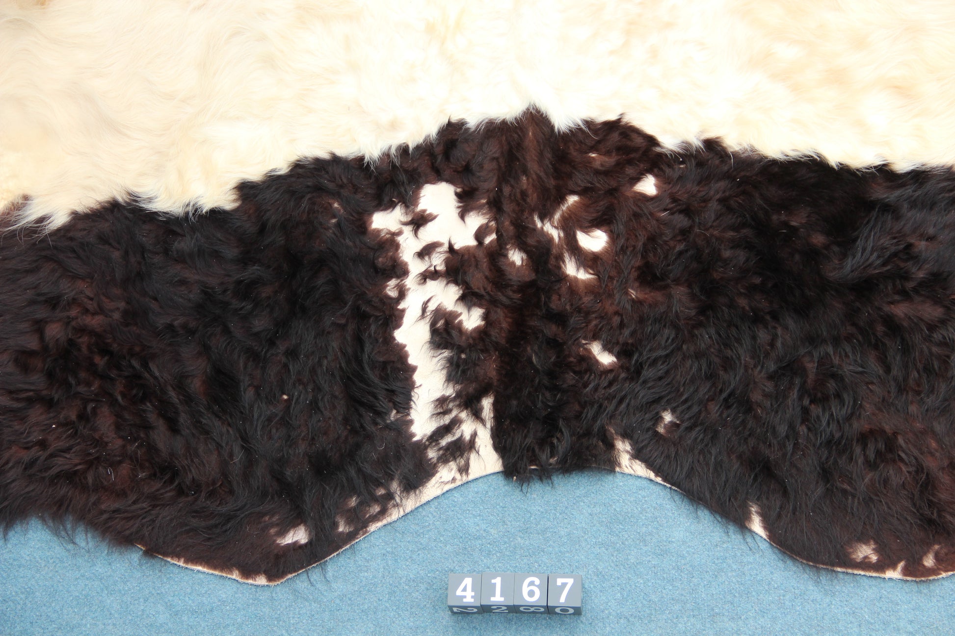 Kuhfell Schwarz Weiß (4167) XXL 4-5qm Langhaar Gelloway 2. Wahl