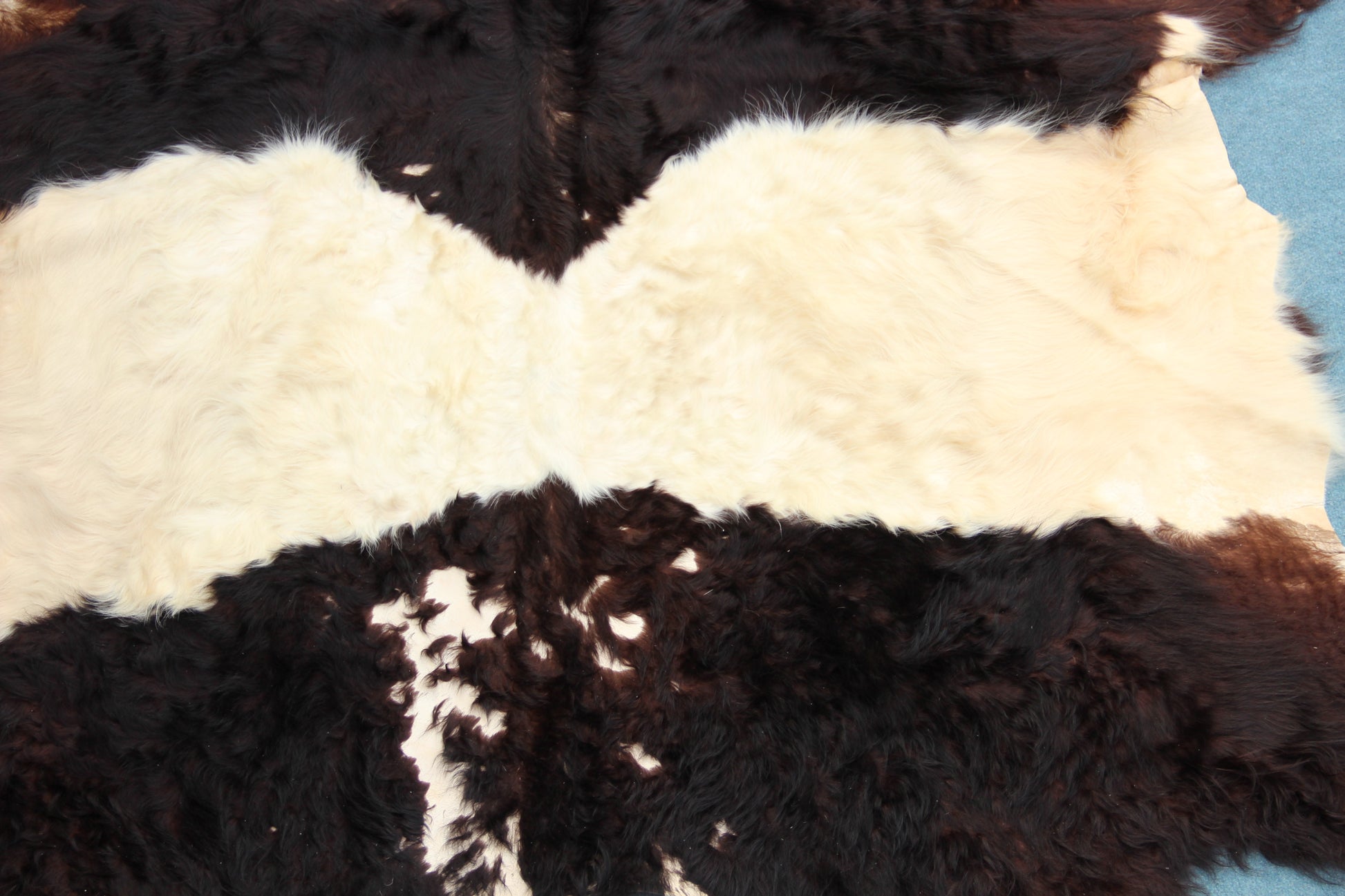 Kuhfell Schwarz Weiß (4167) XXL 4-5qm Langhaar Gelloway 2. Wahl