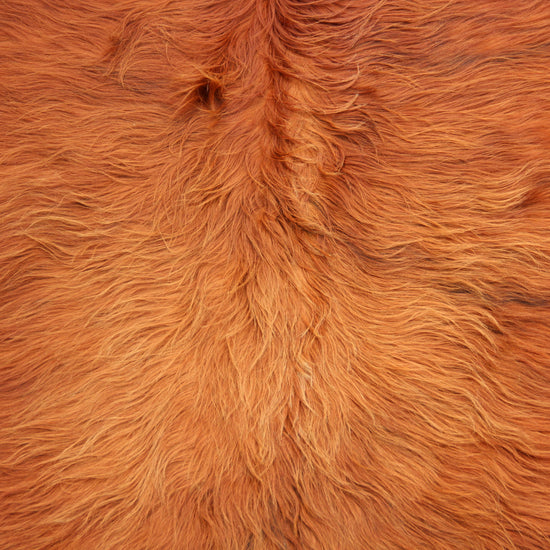 Kuhfell Braun (4166) XXL 4-5qm Langhaar Highländer