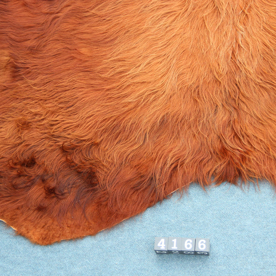 Kuhfell Braun (4166) XXL 4-5qm Langhaar Highländer