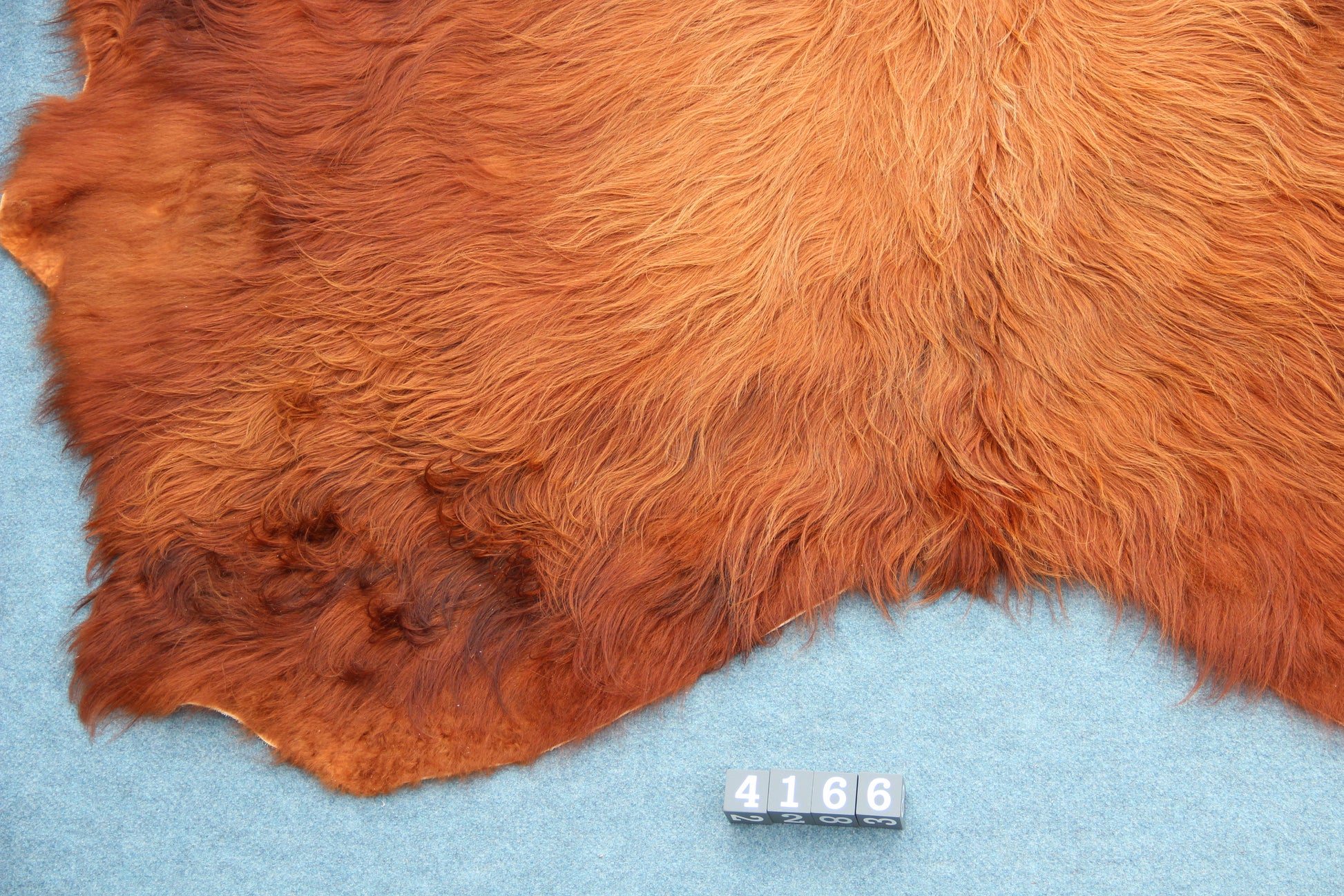 Kuhfell Braun (4166) XXL 4-5qm Langhaar Highländer