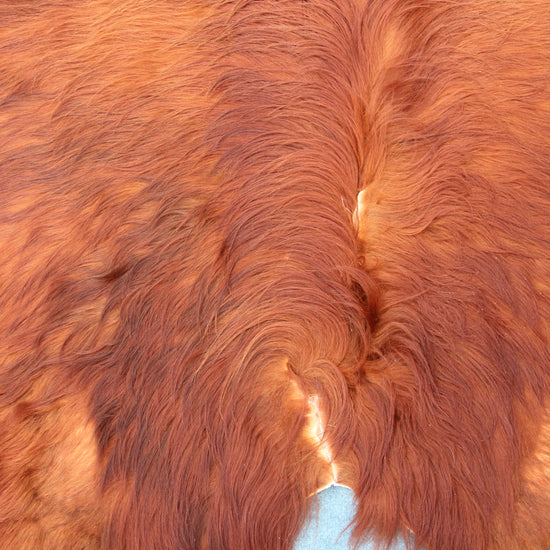 Kuhfell Braun (4166) XXL 4-5qm Langhaar Highländer