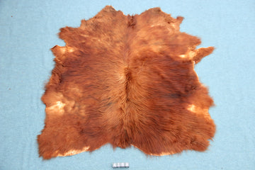 Kuhfell Braun (4169) XXL 4-5qm Langhaar Highländer