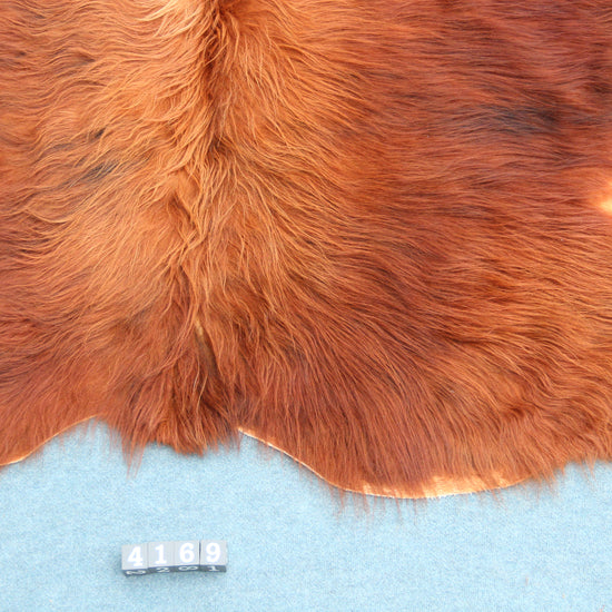 Kuhfell Braun (4169) XXL 4-5qm Langhaar Highländer