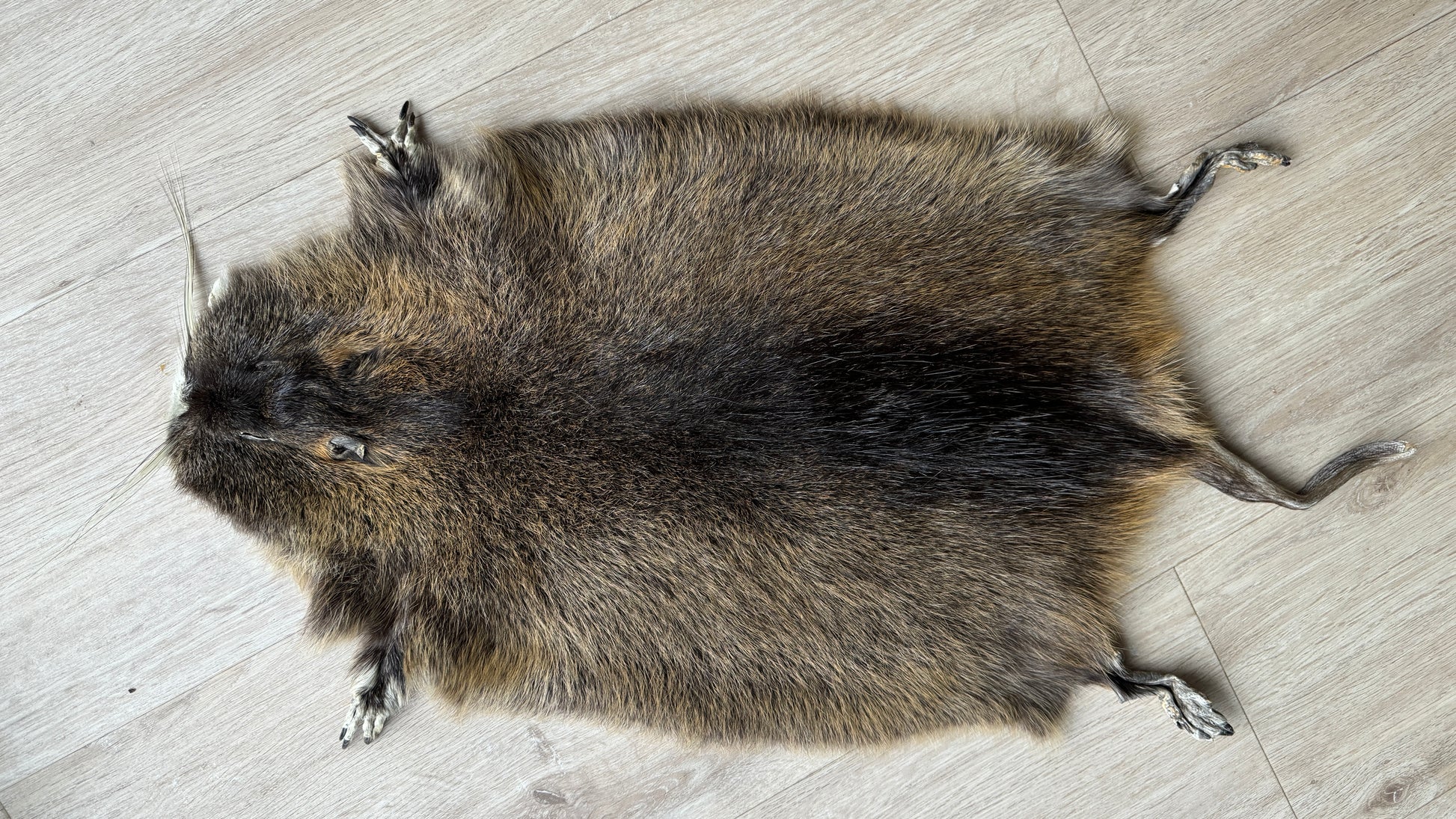 Nutriafell  Ökologisch gegerbt (aus Deutschland)