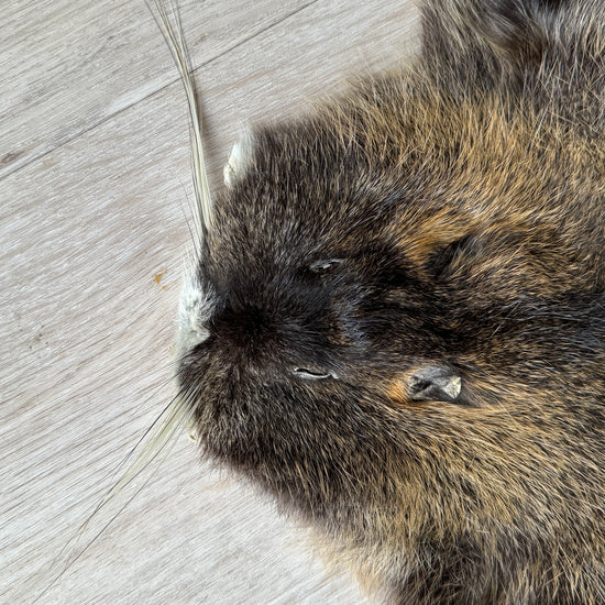 Nutriafell  Ökologisch gegerbt (aus Deutschland)