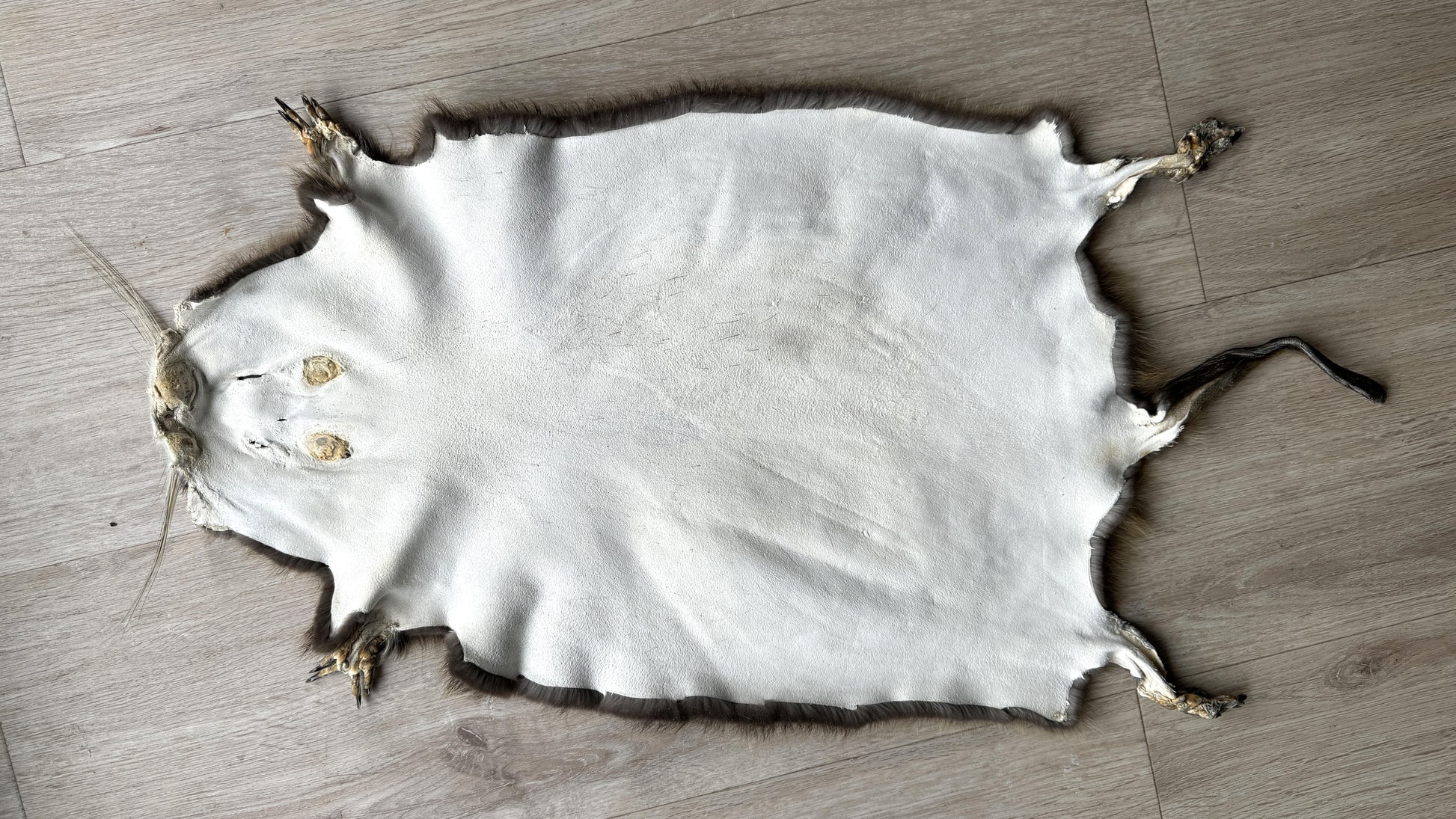 Nutriafell  Ökologisch gegerbt (aus Deutschland)