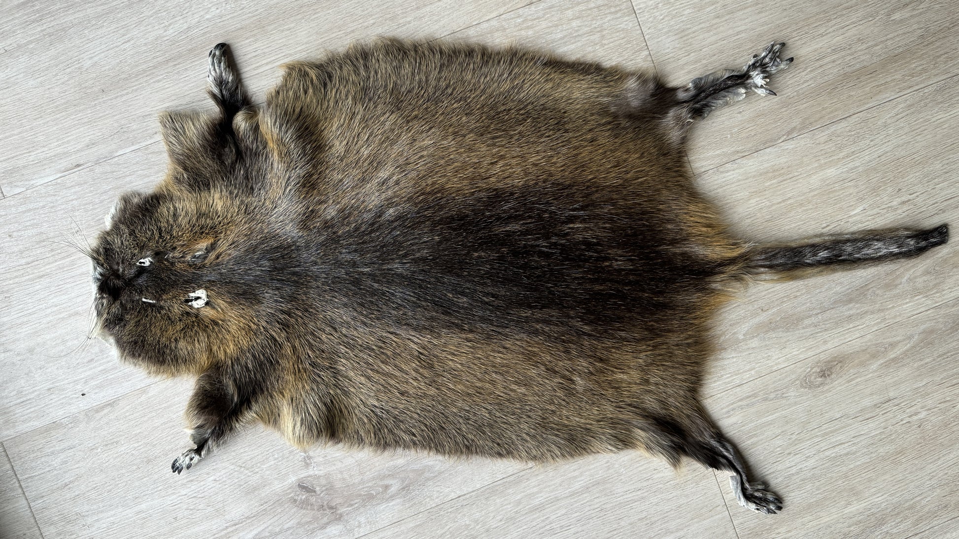 Nutriafell  Ökologisch gegerbt (aus Deutschland)