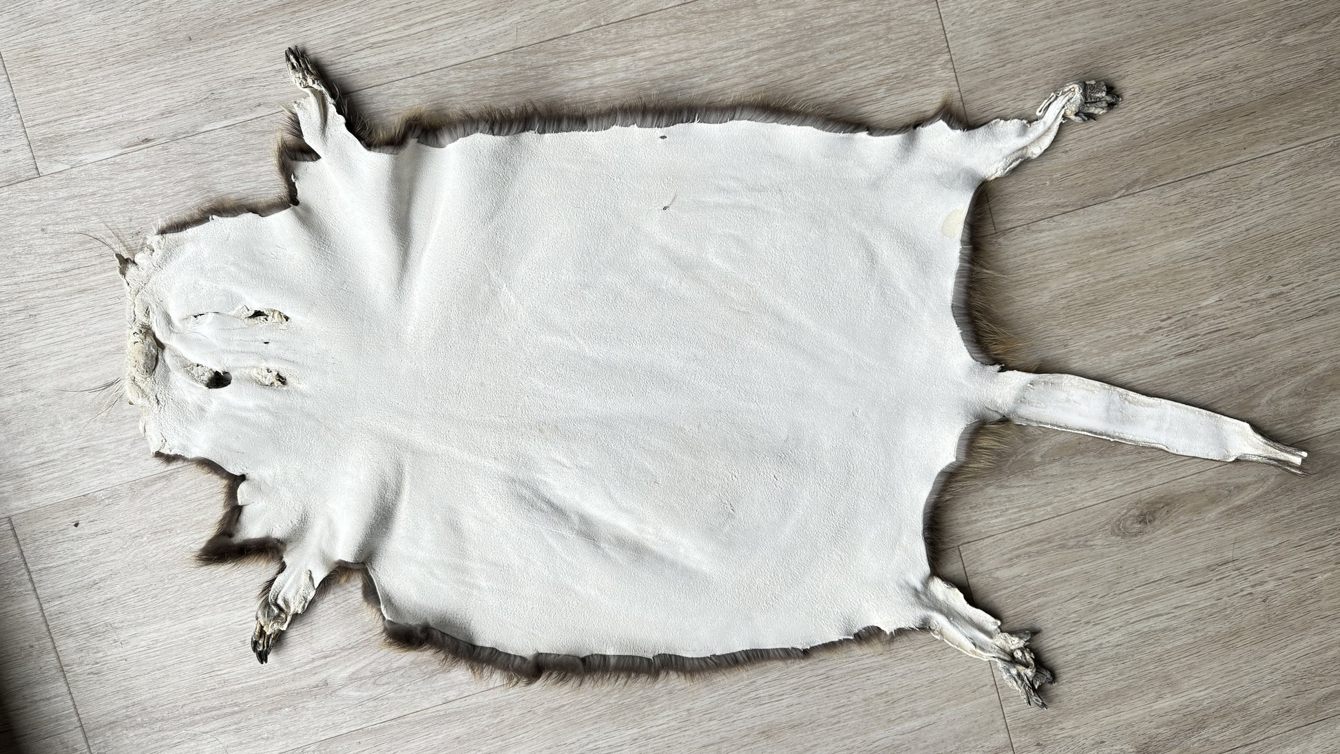 Nutriafell  Ökologisch gegerbt (aus Deutschland)