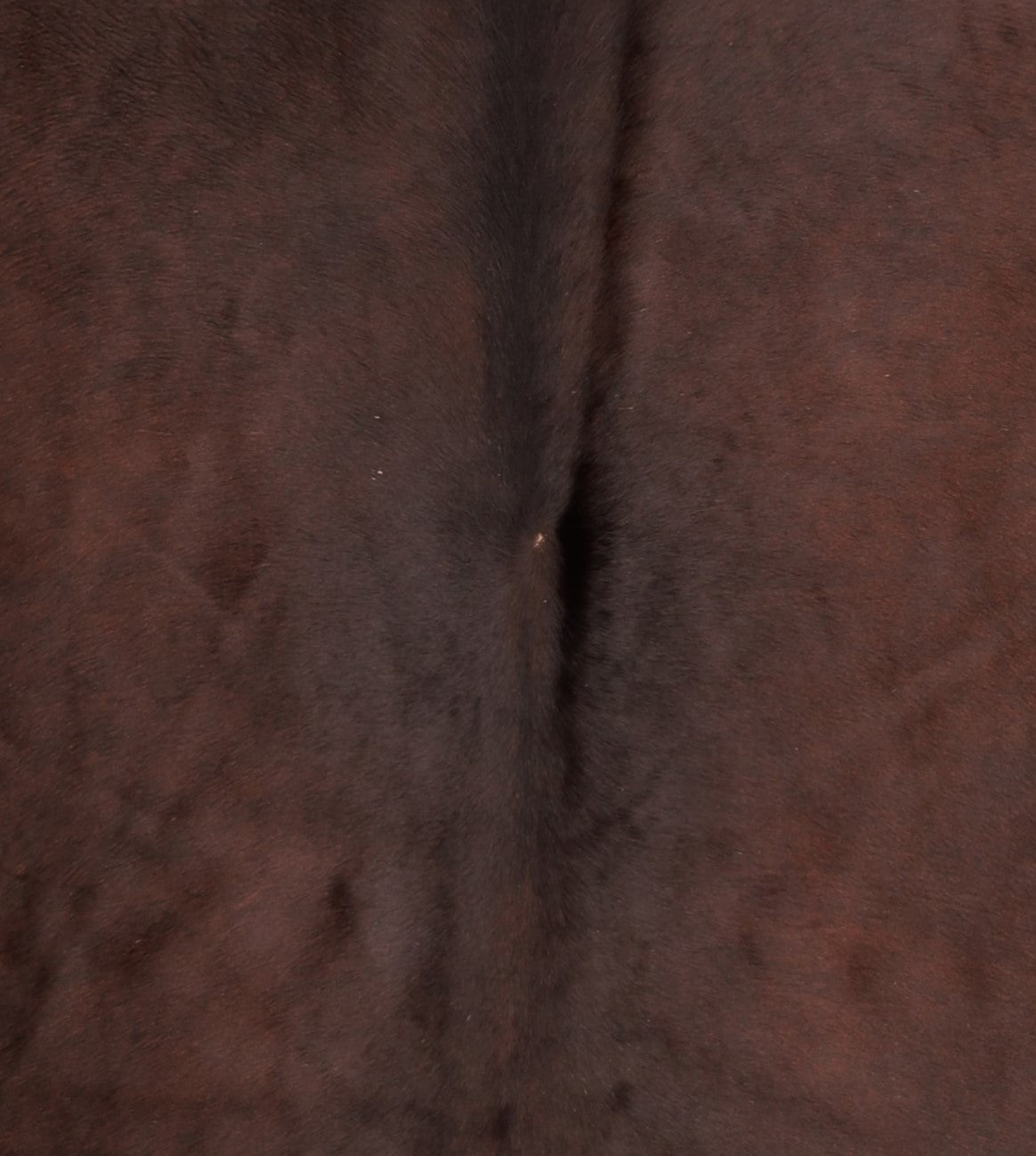 Kuhfell Braun (1413)