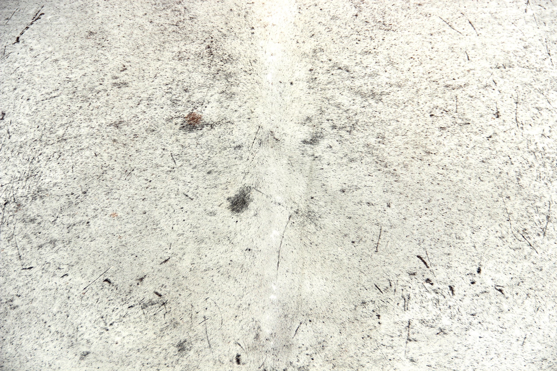 Kuhfell Grau Weiß (2689) 2-3 qm Silber-Schimmer