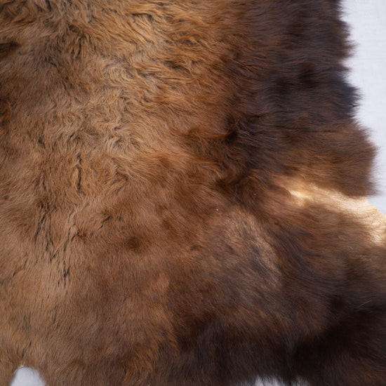 Hochwertiges Bisonfell  Einzigartiges Naturprodukt (ca. 240 x 220 cm) Nr. 108