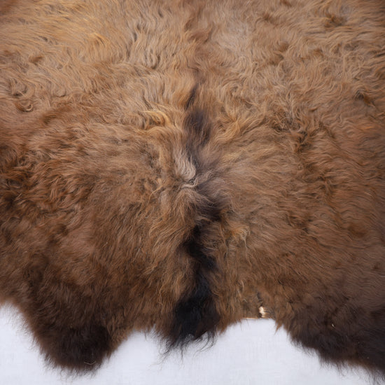 Hochwertiges Bisonfell  Einzigartiges Naturprodukt (ca. 240 x 220 cm) Nr. 108