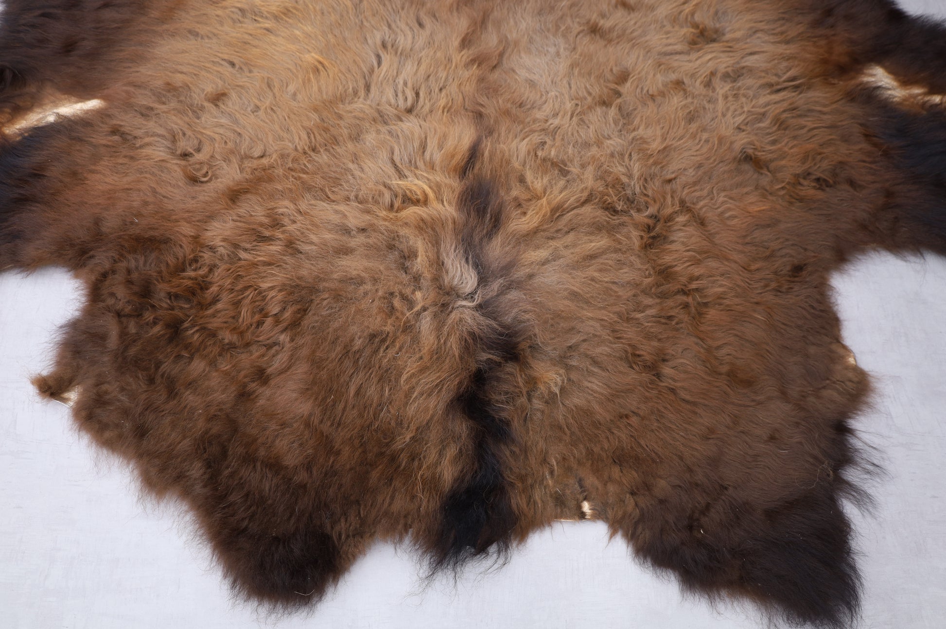 Hochwertiges Bisonfell  Einzigartiges Naturprodukt (ca. 240 x 220 cm) Nr. 108