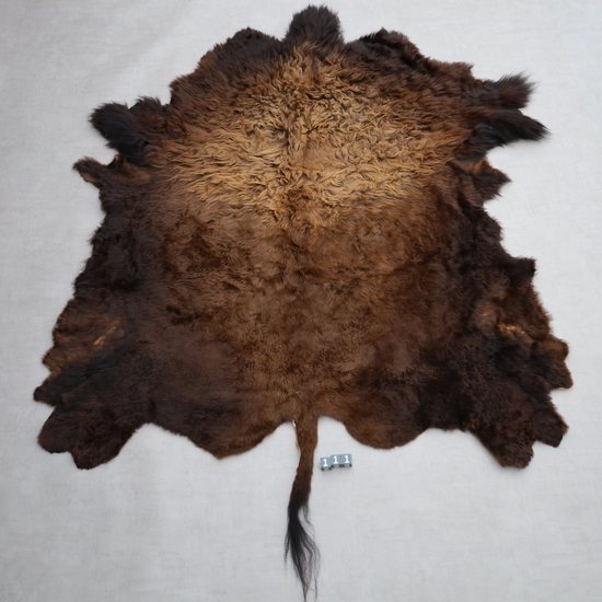 Hochwertiges Bisonfell  Einzigartiges Naturprodukt (ca. 270 x 245 cm) Nr. 111