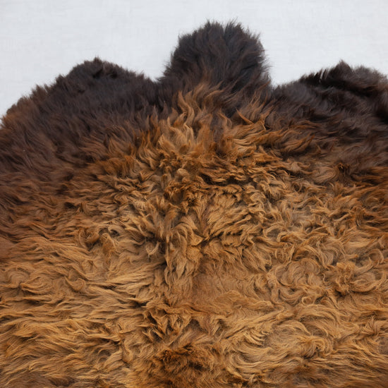 Hochwertiges Bisonfell  Einzigartiges Naturprodukt (ca. 270 x 245 cm) Nr. 111