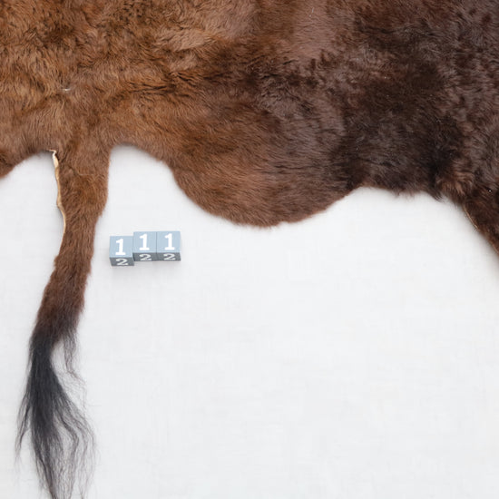 Hochwertiges Bisonfell  Einzigartiges Naturprodukt (ca. 270 x 245 cm) Nr. 111