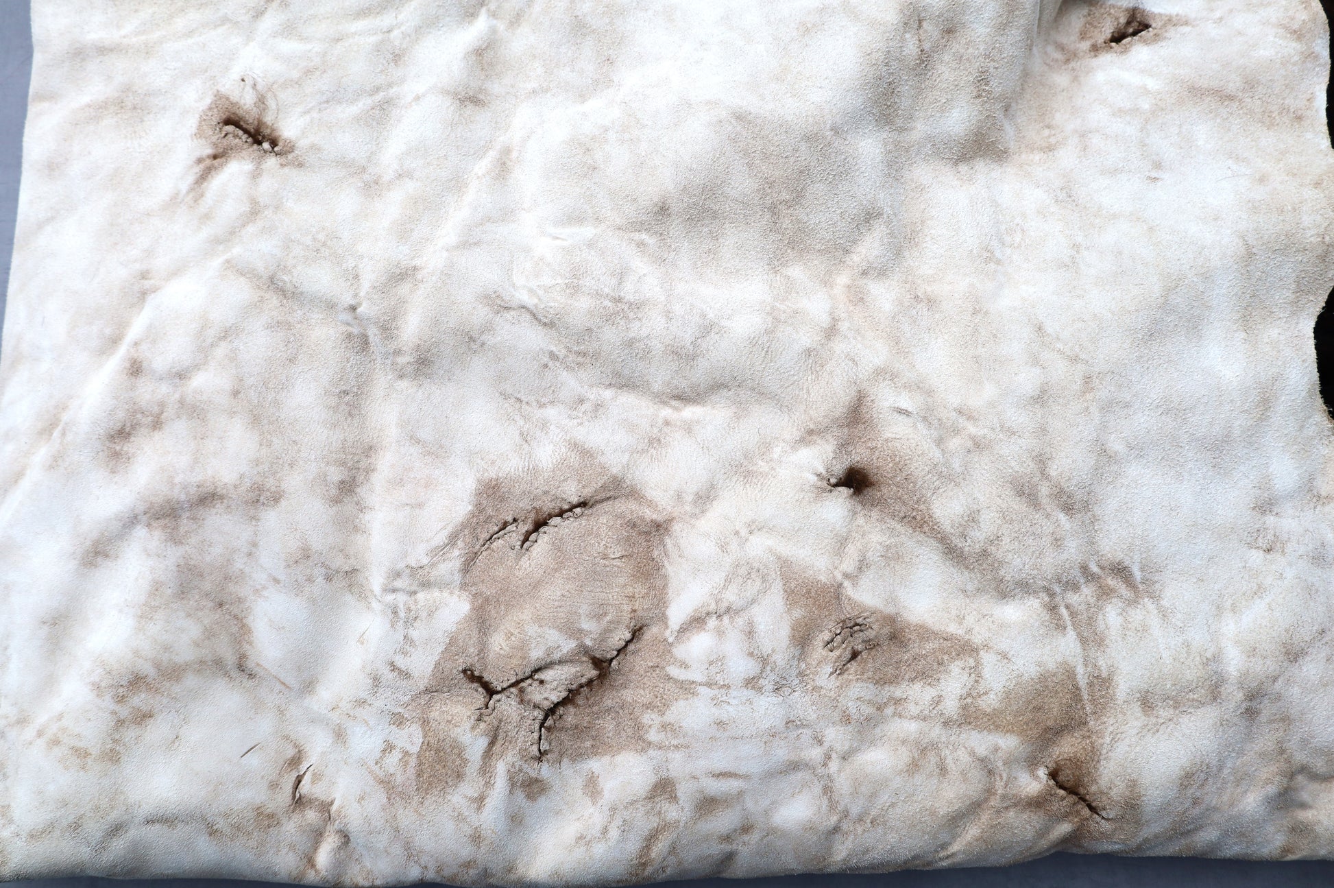 Hochwertiges Bisonfell  Einzigartiges Naturprodukt (ca. 270 x 245 cm) Nr. 111