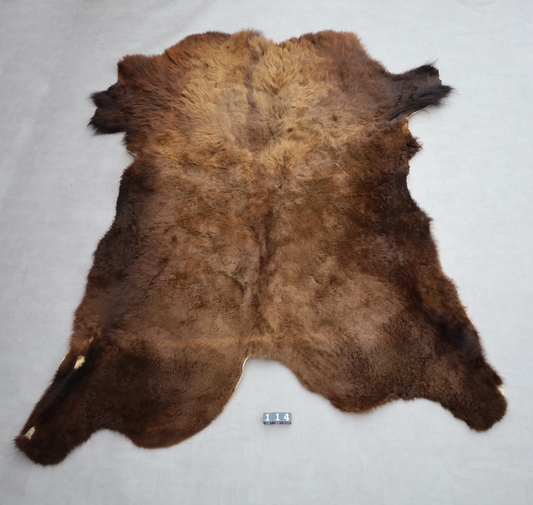 Hochwertiges Bisonfell  Einzigartiges Naturprodukt (ca. 290 x 213 cm) Nr. 114