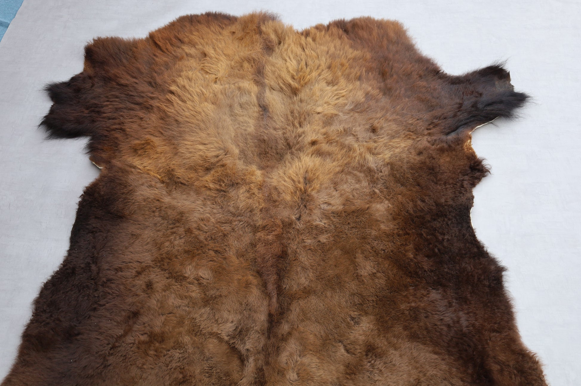 Hochwertiges Bisonfell  Einzigartiges Naturprodukt (ca. 290 x 213 cm) Nr. 114