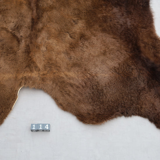 Hochwertiges Bisonfell  Einzigartiges Naturprodukt (ca. 290 x 213 cm) Nr. 114