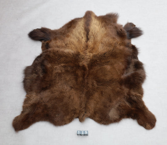 Hochwertiges Bisonfell  Einzigartiges Naturprodukt (ca. 265 x 166 cm) Nr. 115