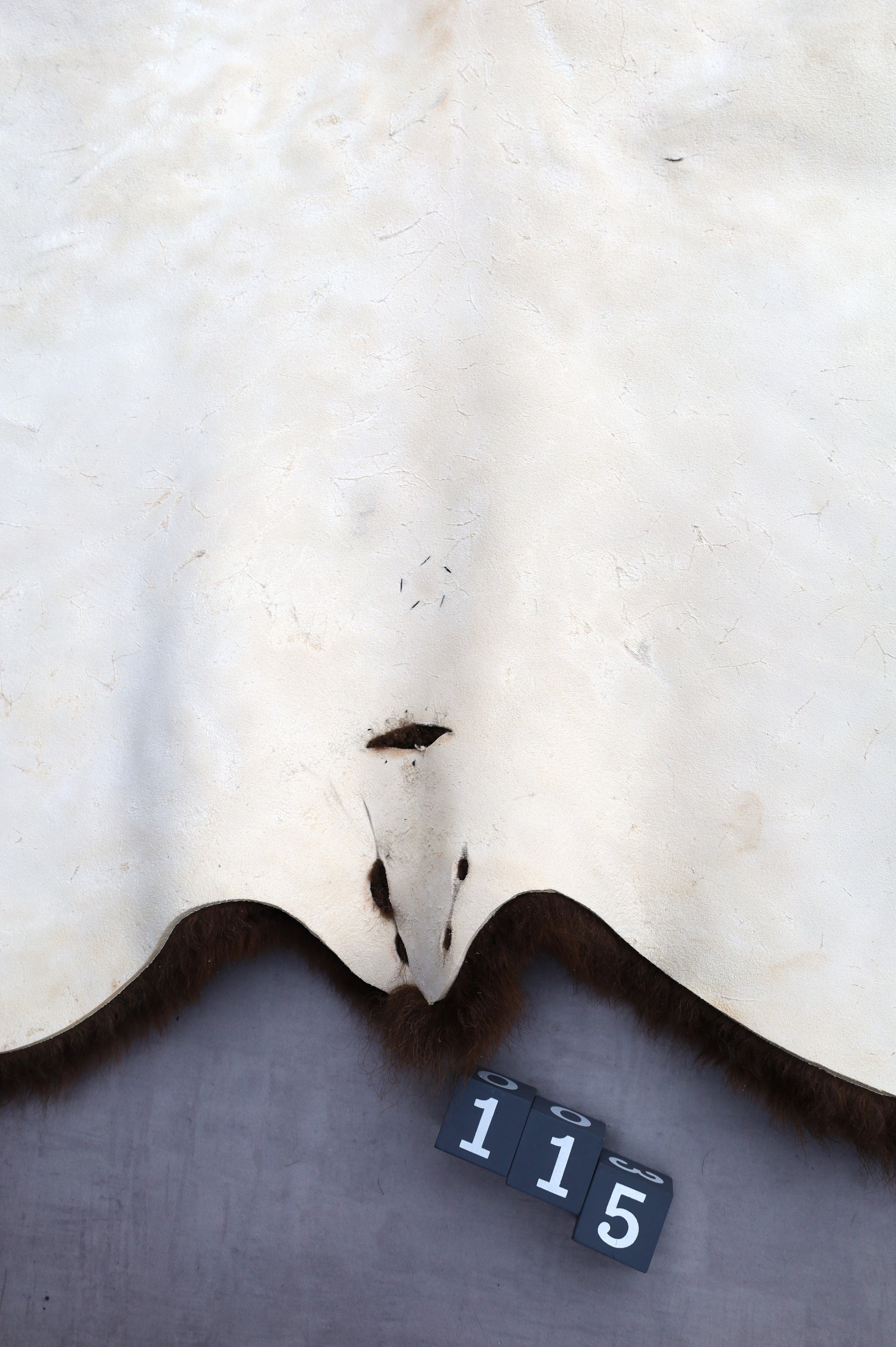 Hochwertiges Bisonfell  Einzigartiges Naturprodukt (ca. 265 x 166 cm) Nr. 115