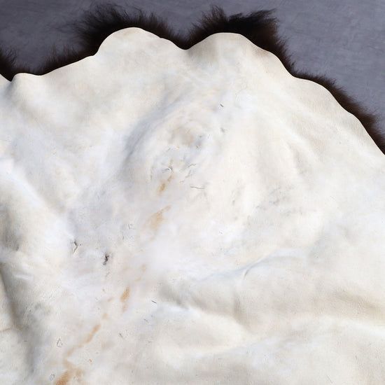 Hochwertiges Bisonfell  Einzigartiges Naturprodukt (ca. 265 x 166 cm) Nr. 115