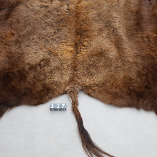 Hochwertiges Bisonfell  Einzigartiges Naturprodukt mit Maske (ca. 260 x 175 cm) Nr. 117