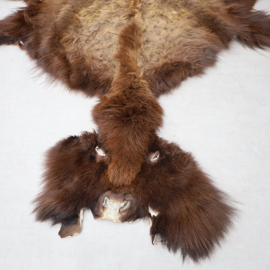 Hochwertiges Bisonfell  Einzigartiges Naturprodukt mit Maske (ca. 260 x 175 cm) Nr. 117