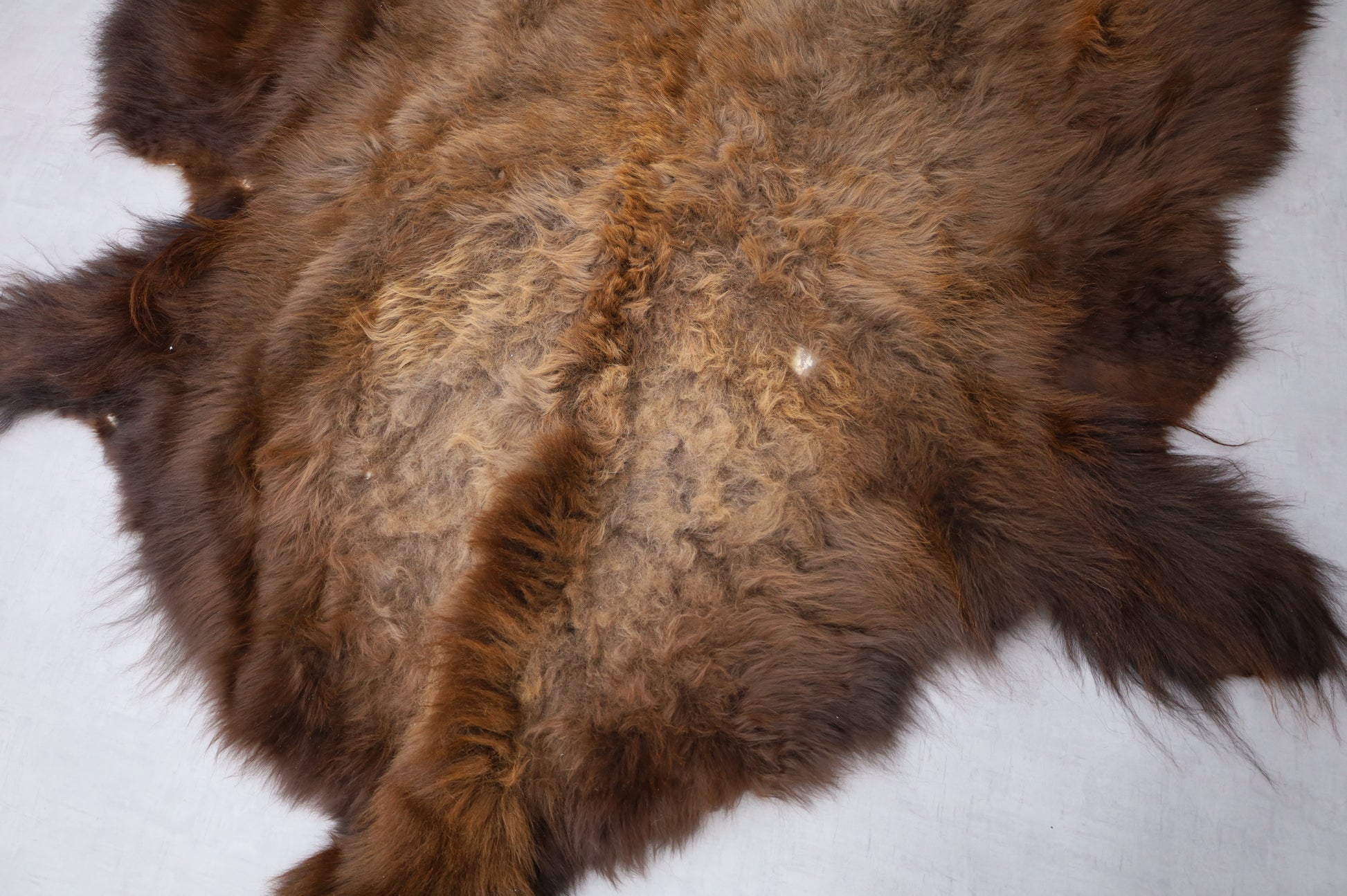 Hochwertiges Bisonfell  Einzigartiges Naturprodukt mit Maske (ca. 260 x 175 cm) Nr. 117