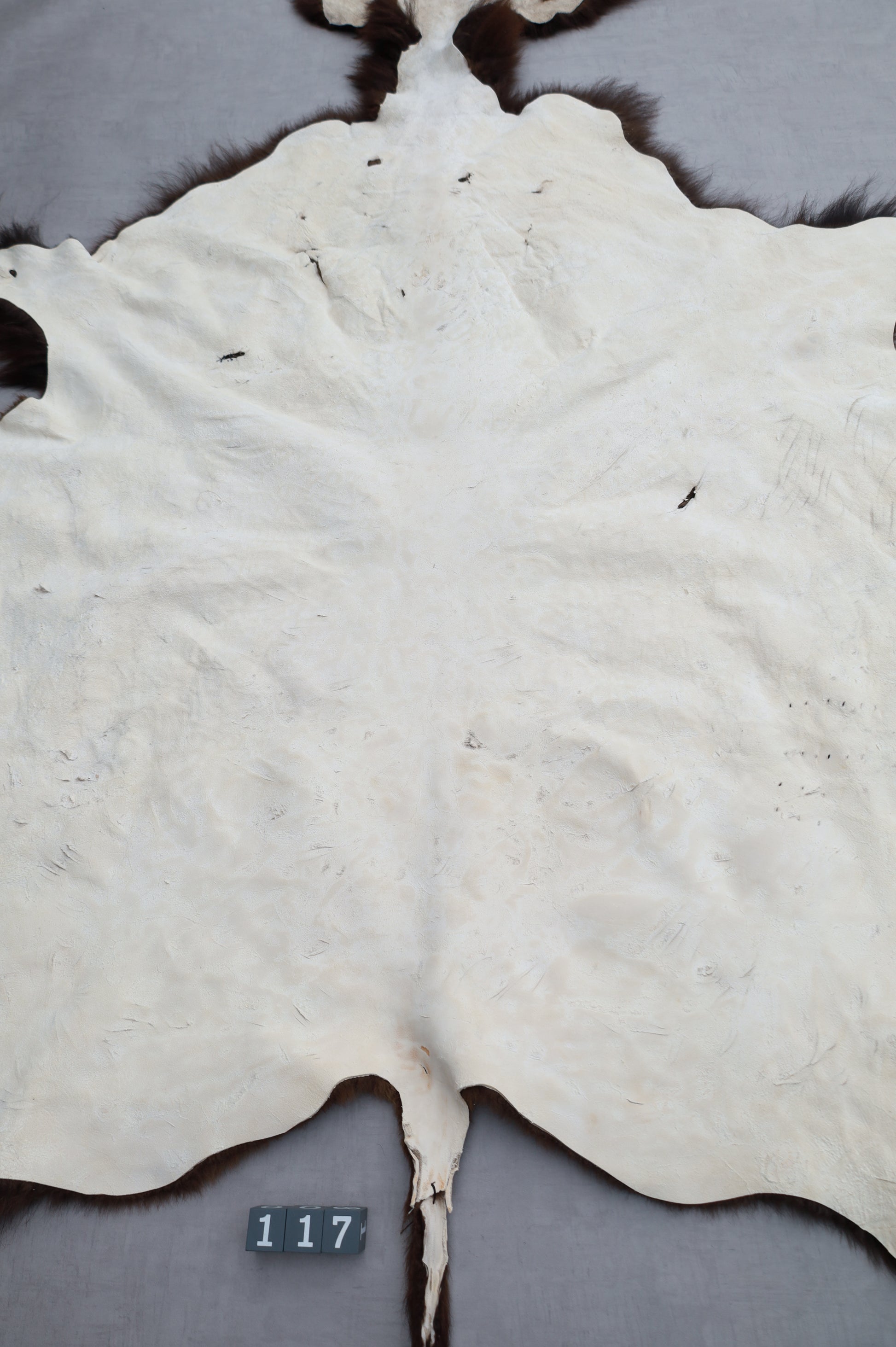 Hochwertiges Bisonfell  Einzigartiges Naturprodukt mit Maske (ca. 260 x 175 cm) Nr. 117