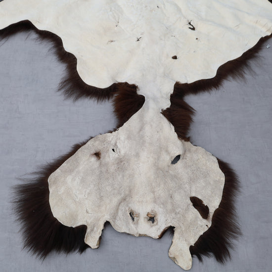 Hochwertiges Bisonfell  Einzigartiges Naturprodukt mit Maske (ca. 260 x 175 cm) Nr. 117