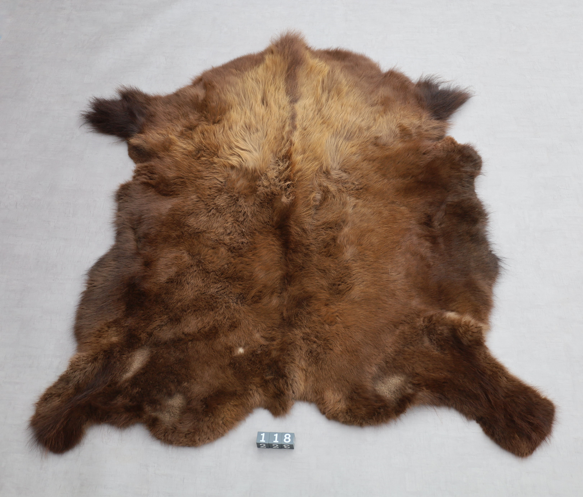 Hochwertiges Bisonfell  Einzigartiges Naturprodukt (ca. 213 x 175 cm) Nr. 118