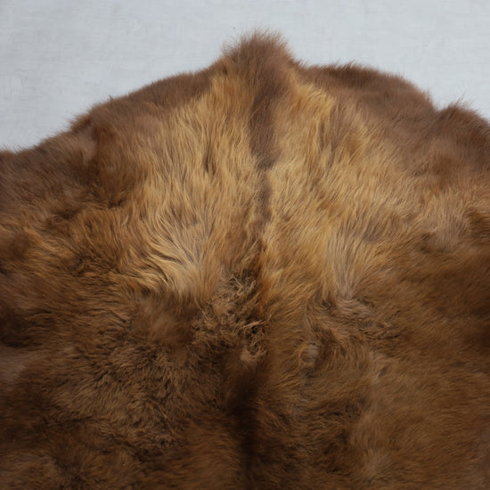 Hochwertiges Bisonfell  Einzigartiges Naturprodukt (ca. 213 x 175 cm) Nr. 118