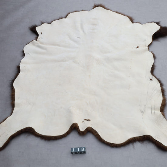 Hochwertiges Bisonfell  Einzigartiges Naturprodukt (ca. 213 x 175 cm) Nr. 118