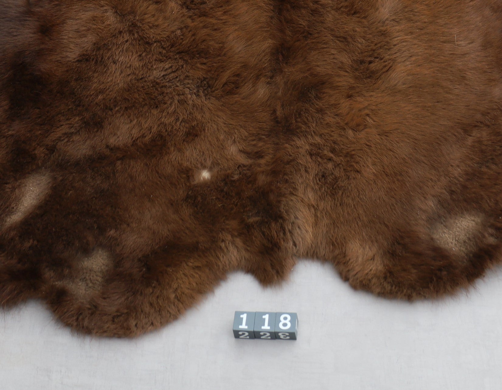 Hochwertiges Bisonfell  Einzigartiges Naturprodukt (ca. 213 x 175 cm) Nr. 118