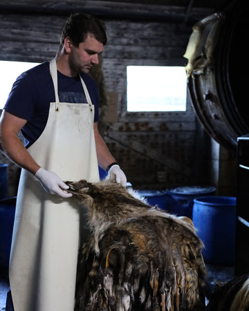 Gerberei Birke Fellshop