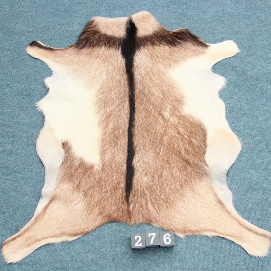 Naturbelassenes Ziegenfell (276) – Ökologisch in Deutschland gegerbt Gerberei Birke Fellshop