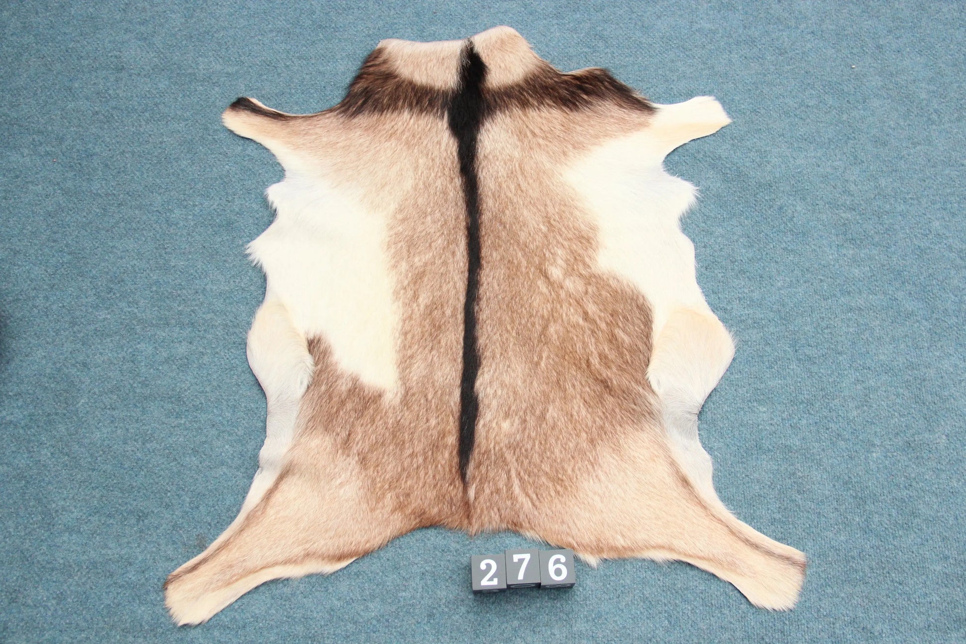 Naturbelassenes Ziegenfell (276) – Ökologisch in Deutschland gegerbt Gerberei Birke Fellshop