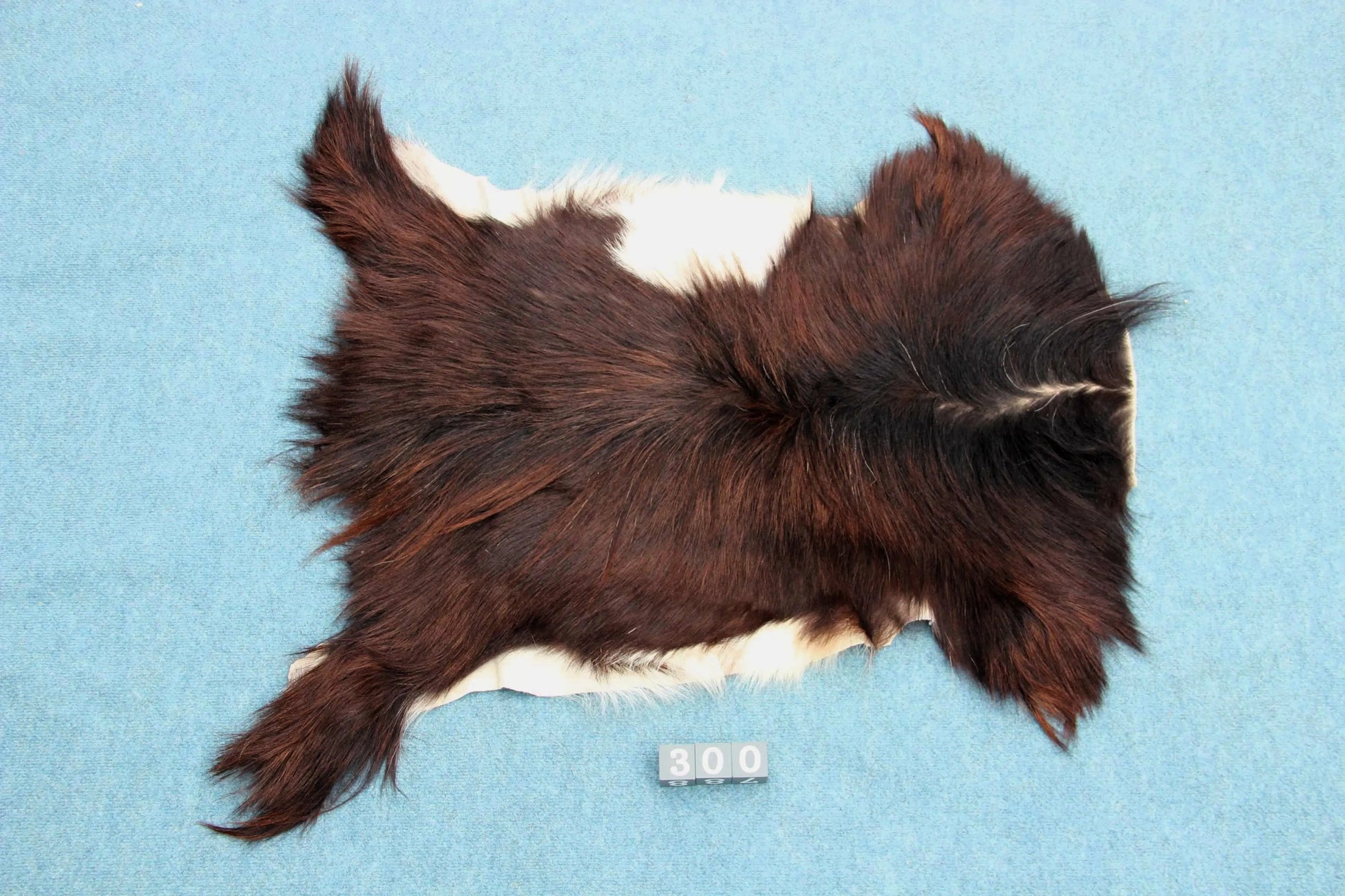 Naturbelassenes Ziegenfell (300) – Ökologisch in Deutschland gegerbt Gerberei Birke Fellshop