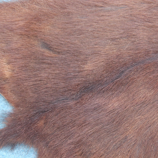 Naturbelassenes Ziegenfell (396) – Ökologisch in Deutschland gegerbt Gerberei Birke Fellshop